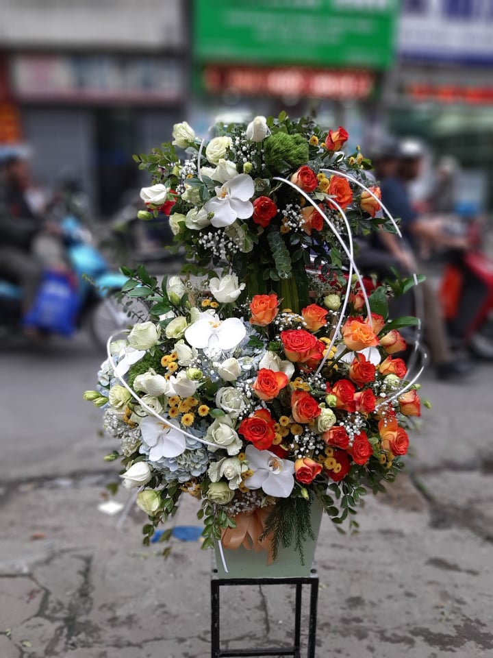 Màu Của Nắng