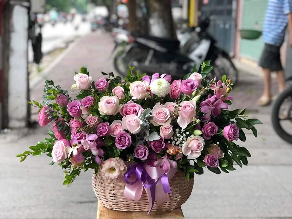 Sắc Màu 