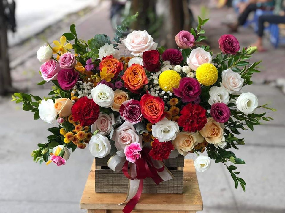 Sức Sống 2